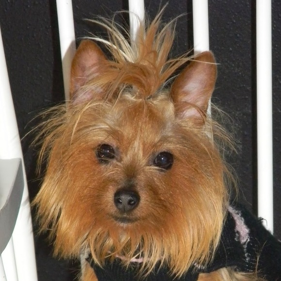 Meet your Posher, Latasha - Picture 1 of 1